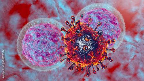  3D render illustration Natural killer body cell immune respone corona virus cell .concept covid-19 antibogy cytotoxic adaptive immune response. © Trsakaoe