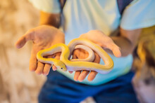 A Man Holding A Small Python In His Hands