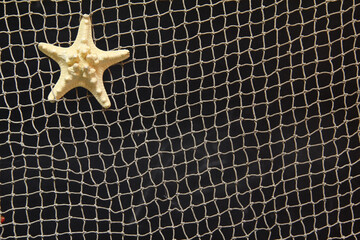 Black net background with a starfish and space for text
