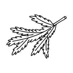 Sticker - Spruce branch in Doodle style. The sketch is hand-drawn and isolated on a white background. Element of new year and Christmas design. Outline drawing. Black-white vector illustration