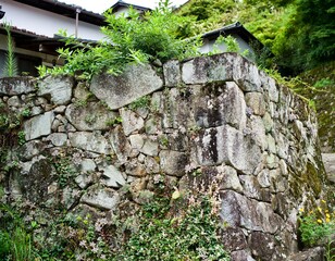 Wall Mural - Stone wall with grass in Japan.