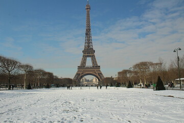 Wall Mural - eiffel tower on the snow in paris france