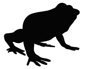 Wall Mural - Silhouette mit einem Frosch