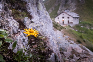 Mountain house in the Alps