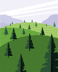 Poster - beautiful landcape scene with coniferus forest field