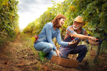 Smiling Winegrower Couple Working Together