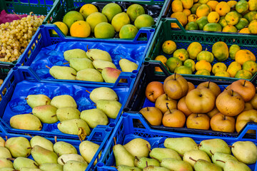 Wall Mural - Many different fruits for sale at the market. Fruit background