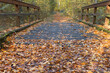 Holz Brücke im Herbst Wald