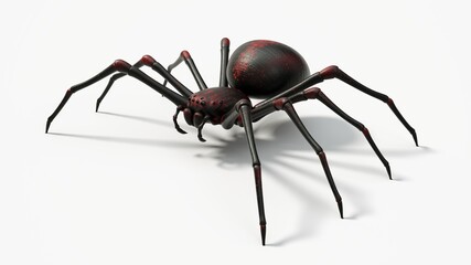 black spider with red skin details. suitable for horror, halloween, arachnid and insect themes. 3D illustration with white background.