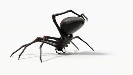 Black spider preparing for web making. suitable for horror, halloween, arachnid and insect themes. 3D illustration with white background.