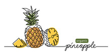 Pineapple Simple Vector Illustration. One Continuous Line Drawing Art Illustration With Text Organic Pineapple.