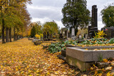 Fototapeta  - Image of the Vienna Central Cemetery on the All Souls' Day. The Vienna Central Cemetery is one of the largest cemeteries in the world, with over 300.000 interred.