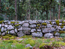 Different Sections Of A Very Old Stone Wall Covered In Moss, At The Hilsidel Of The Iguaque Mountain In The Central Andes Of Colombia.