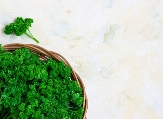 Fresh green parsley in a wicker wooden basket on a light background