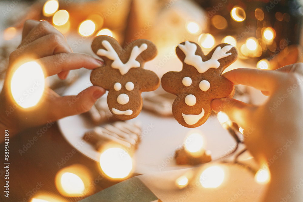 Hands holding gingerbread reindeer cookies with icing on background of  festive lights. Christmas - obrazy, fototapety, plakaty 