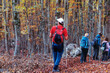 © Gennaro Leonardi - Hikers in the beech tree forest in autumn.