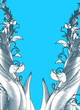 Beanstalk Vintage Drawing With Blue Blank Space BG