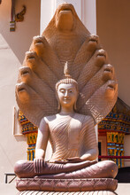 The Portrait Of The Buddha Statue As The Lanchang Style With 9 Heads Of Naga At Wat SichomphuOngtue Temple In Thabo District, NongKhai Province Thailand