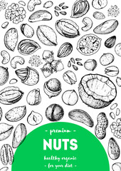 Wall Mural - Nuts collection hand drawn sketch. Vector illustration. Organic healthy food. Great for packaging design. Engraved style. Black and white color