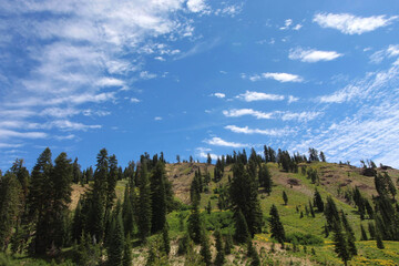 Wall Mural - Hill with sparse trees and greenery under the scattered clouds