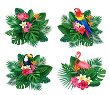 Vector Tropical Set Of Summertime Design Illustrations For Ad With Jungle Birds, Strelitzia, Plumeria, Palm, Monstera.