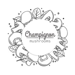 Wall Mural - Champignon mushrooms and basil leaves circle frame with the lettering, vector monochrome outline illustration