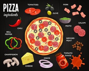 Wall Mural - Pizzeria menu, pizza ingredients vector tomatoes, olive and pork, salami, pesto and ground meat with tomato sauce. Onion, cheese and champignon, bell pepper and chili, fast food pizza top view meal