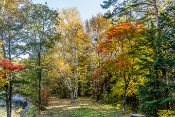  とある池のほとりの紅葉のある風景　長野県伊那市