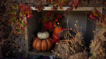 Poster - Autumn decoration with pumpkins for Thanksgiving Day