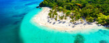 Fototapeta Uliczki - Vacation background. Travel concept. Aerial drone view of beautiful caribbean tropical island with palms and turquoise water. Banner wide format