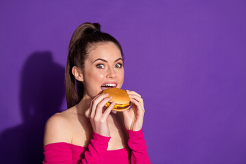 Sticker - Close-up portrait of attractive cheerful brown-haired girl eating burger copy space isolated over bright violet color background