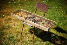 Dried Fruits In Wooden Pallet On The Old Chair In The Garden.