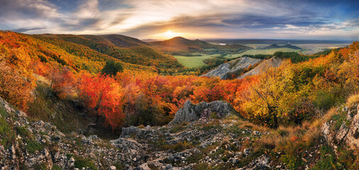 Wall Mural - majestic trees with sunny beams at mountain valley. dramatic and picturesque morning scene. red and 