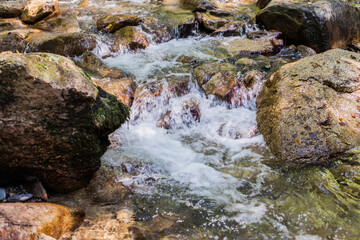 Beautiful Forest Landscape,  Stream Flowing Water, Mountain Creek, Summer Day In Nature