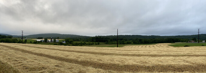 Wall Mural - Panoramic shot of a farm field under the clouded sky