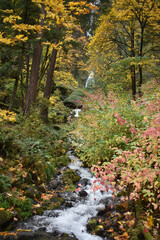 Sticker - Vertical shot of a small waterfall cascading with fall plants around it in Portland, Oregon