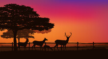 Herd Of Grazing Deer Behind Farm Fence With Trees And Sunset Sky - Eveing Scene Vector Silhouette Design