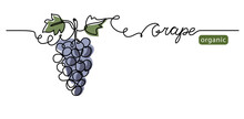 Grape Bunch Vector Illustration. One Continuous Line Drawing Art Illustration With Lettering Organic Grape.