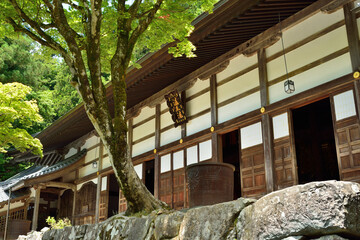 Wall Mural - 永平寺・法堂