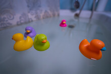 Colorful Rubber Ducks In The Bathroom. Bathing Fun For Young And Old. The Perfect Decoration Or Even Toys In The Bathroom. But Also A Squid, Crocodile And Starfish Made Of Rubber.