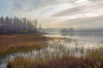  Autumn, foggy morning, over the lake, in the distance you can see a small island. Finland, Scandinavian nature.