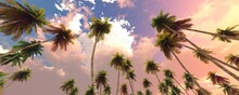 Tropical Palm Trees Against The Background Of A Beautiful Sky With Clouds, Palm Trees At Sunset, Clouds And Palms,