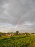 Fototapeta Tęcza - rainbow over the countryside
