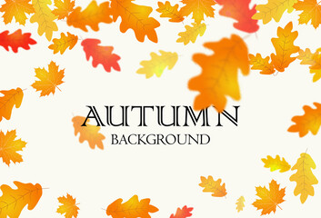 Wall Mural - autumn season background