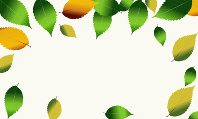 Wall Mural - autumn_left11