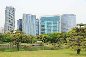 Canvas Print - 浜離宮庭園と汐留シオサイト