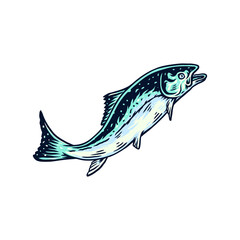 Vector illustration of salmon fish, and drawn line style with digital color