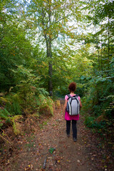 Wall Mural - Backpacker lady in the forest