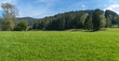 Grüne Landschaft im Allgäu