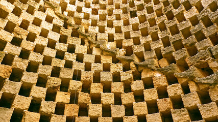 Round Dovecote in Apulia